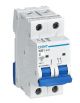 INTERRUTTORE MAGNETOTERMICO 2P 32 A 10kA CURVA C CHINT NB1-63H 179831