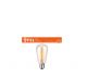 Lampada 6W 2700K E27 Edison filamento LED