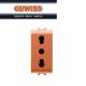 PRESA 2P+T 16A BIVALENTE ARANCIO GEWISS CHORUS GW10233