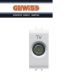 PRESA TV CONNETTORE IEC MASCHIO GEWISS CHORUS BIANCO GW10361