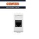 PRESA TELEFONICA TIPO IN OUT GEWISS CHORUS BIANCO GW10402