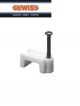 GRAFFETTA PIATTA CON CHIODO IN ACCIAIO 5/6 MM  GW50623  100 PEZZI