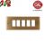 PLACCA 5P BRONZO SATINATO OTTONE serie MAGIC 5005-BS