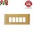 PLACCA 5P OTTONE LUCIDO CON BORDI serie MAGIC 7005