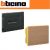 CENTRALINO DA INCASSO 12 MOD BTICINO LINEA SPACE F315P12 FUME SCATOLA F315S12